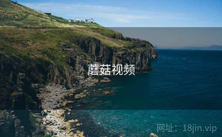 蘑菇视频 第2张