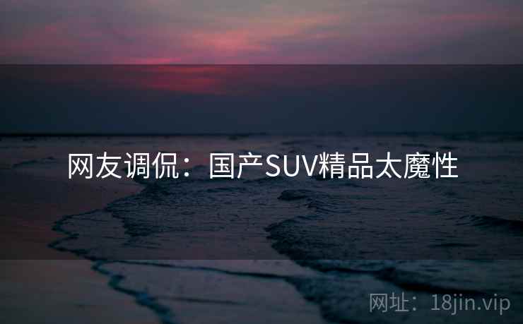 网友调侃:国产SUV精品太魔性